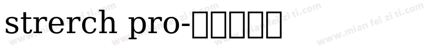 strerch pro字体转换